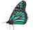 papillon_monarque_small